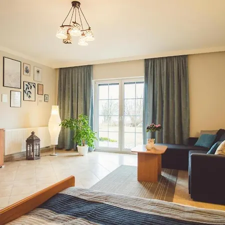 Paradise 哈日科维