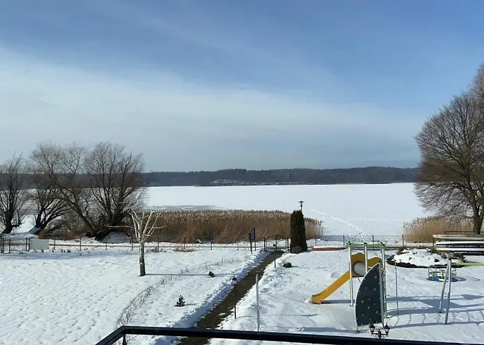 Paradise هاجوكوفه